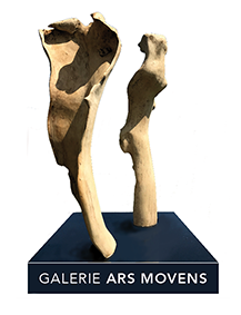 Gallery Ars Movens - Visser Media Support